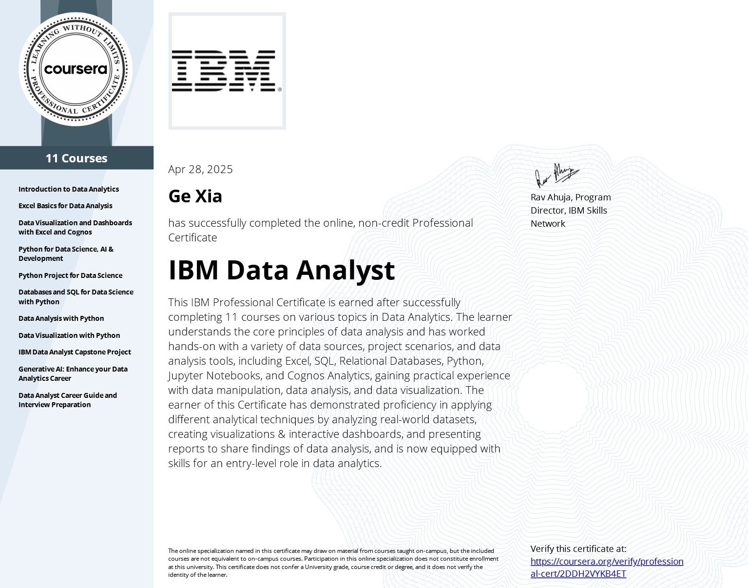 Professional Data Analyst Certificate